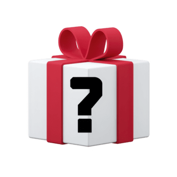 Mystery Christmas Gift